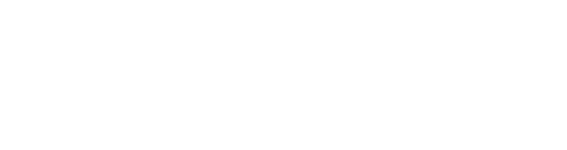 McLane Insurance Agency - Logo 800 White